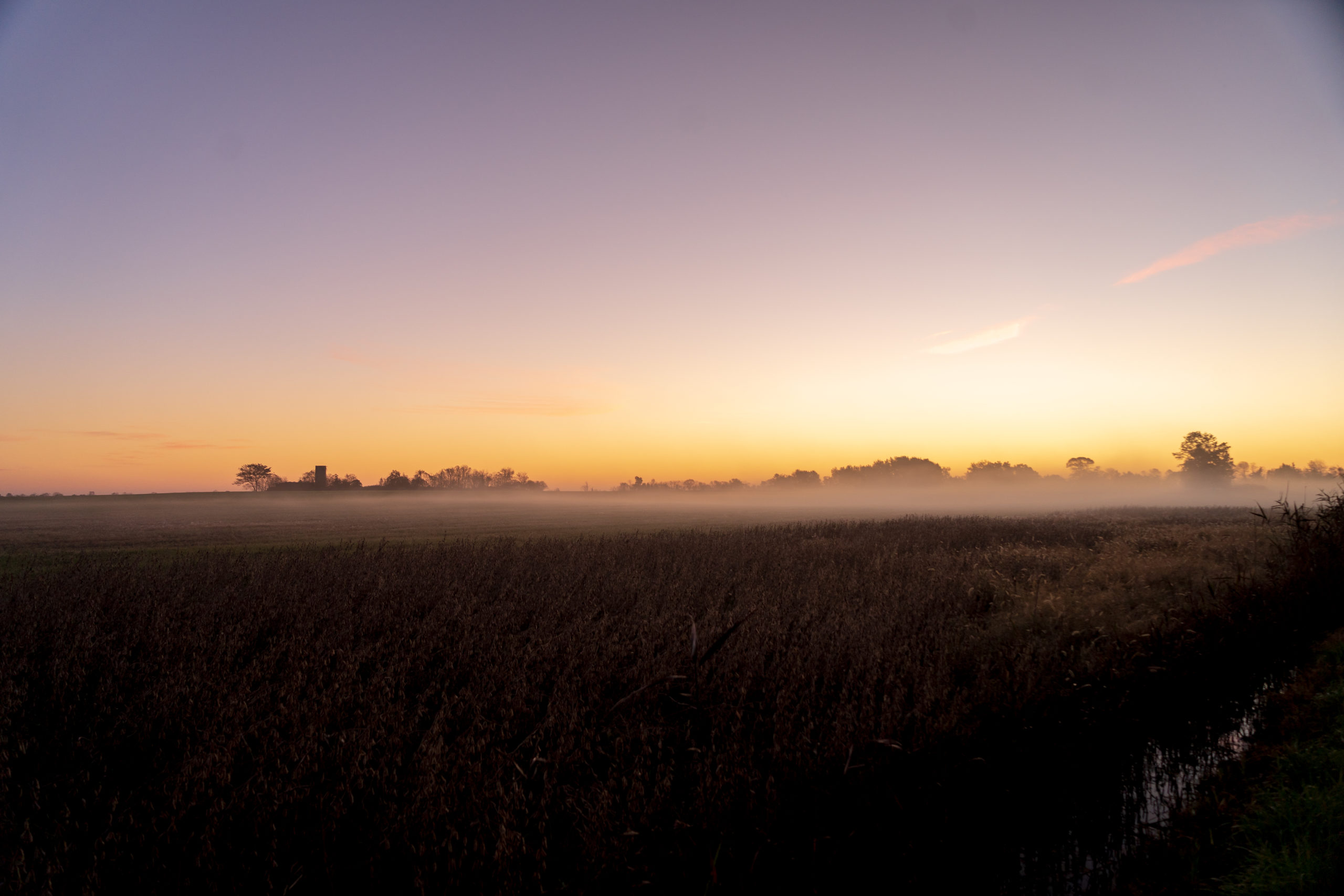 Sunrise, morning fog